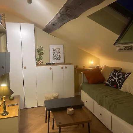 En Plein Coeur D'angers Appartement Angers